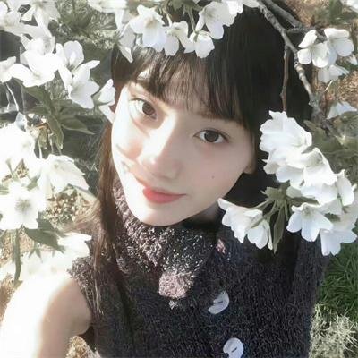 永别了，柏林